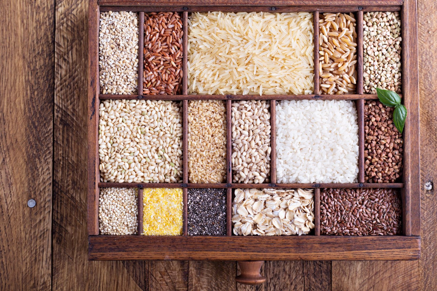 Quality Seeds Are Everything